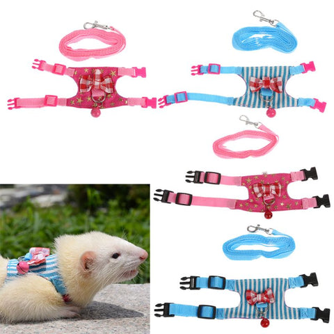 Pet Chest Strap & Leash Set