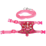 Pet Chest Strap & Leash Set