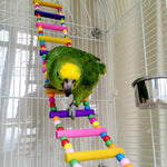 Pet Bird Hanging Colorful Balls Climbing Toy