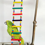 Pet Bird Hanging Colorful Balls Climbing Toy