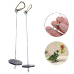 Stainless Steel Fruit Spear Bird Food Holder