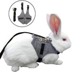 Small Dog Harness with Pulling Rope