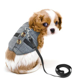 Small Dog Harness with Pulling Rope