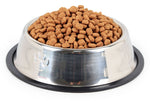 Stainless Steel Food and Water Bowl