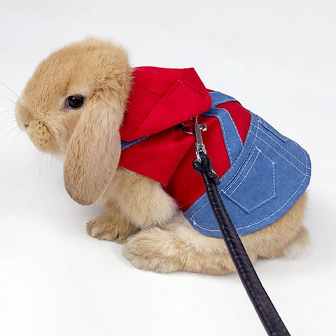 Pet Rabbit Denim Outfit