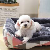 Soft Colorful Pet Bed